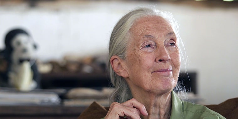 World-renowned ethologist, environmentalist and activist Dr. Jane Goodall.